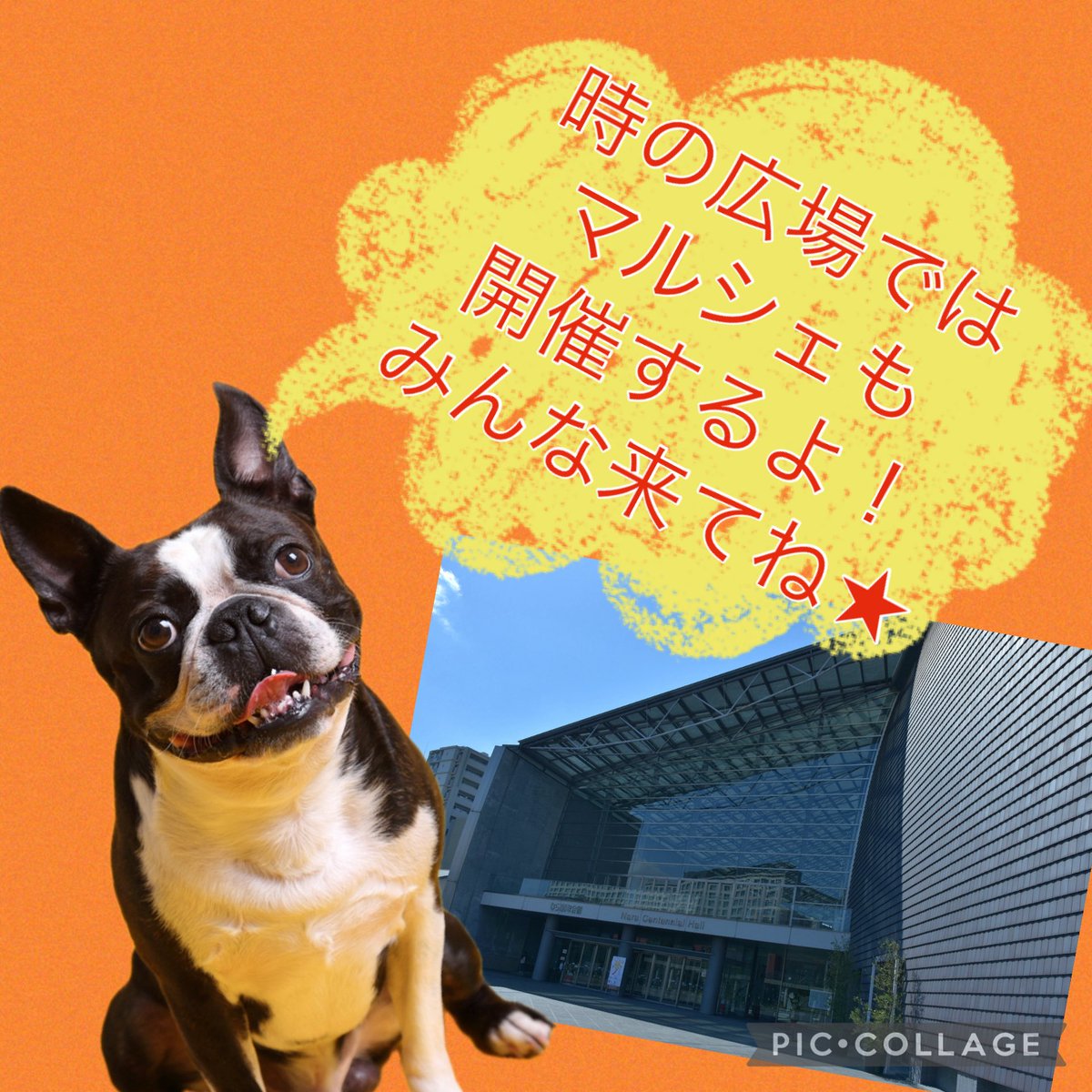 第10回目の夢フェスまであと5日！
12日は激アツコンテスト開催👍
見逃すなんてもったいない😆
チケット不要‼️是非ご来場ください✨
#10周年記念
#入場無料
#バルツァ事業会
#奈良新聞社
#夢フェス
#地域貢献事業
#なら100年会館
#タケカワユキヒデ
#JOYSOUND