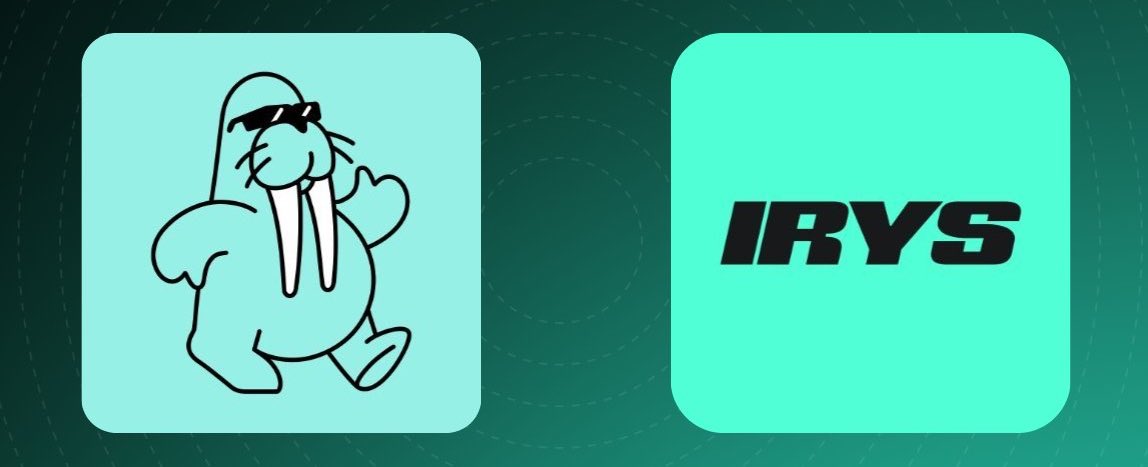 数据赛道有两种流派

Walrus 代表的是模块化现实派，
Irys 代表的是垂直整合理想派。

Walrus 已经上线在 Sui 上运行。它证明了去中心化存储可以用模块化的方式拼起来：用 Sui 负责结算和激励，用自己的节点网络负责存储。这种架构最大的优势是落地快，生态借力足、所以我们能看到 Walrus 很快在