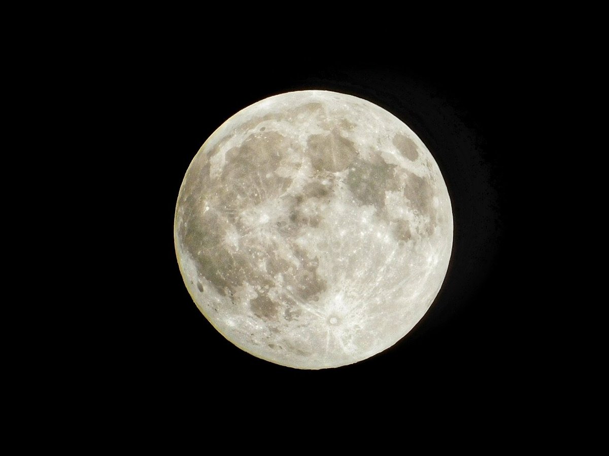 Sapo Man Photography 😃 tweet media