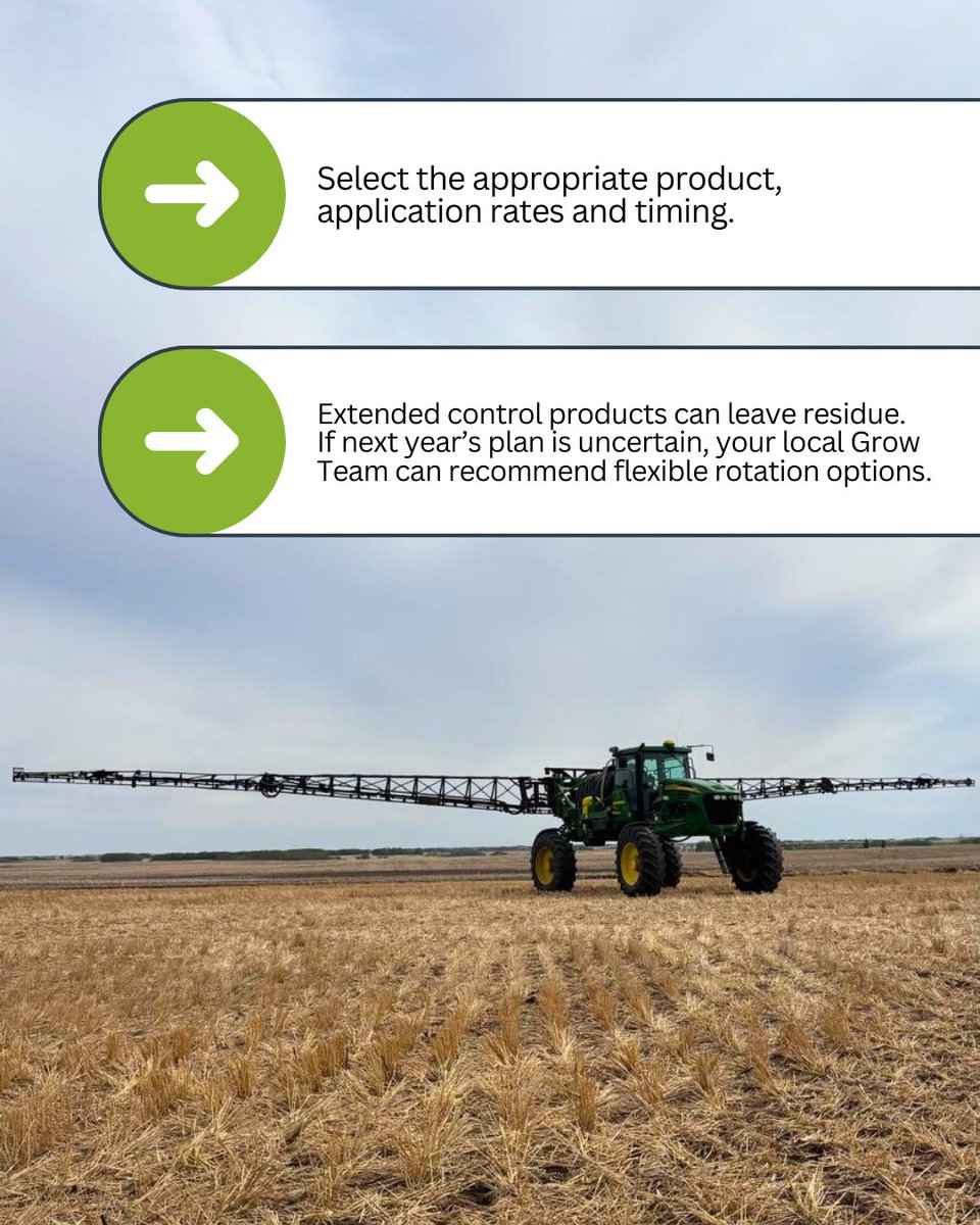 During the fall, perennial weeds are actively transporting nutrients to their roots, making them more susceptible to herbicide treatments. A post-harvest herbicide application helps ensure deeper penetration and a cleaner spring.  

The right post-harvest weed control strategy