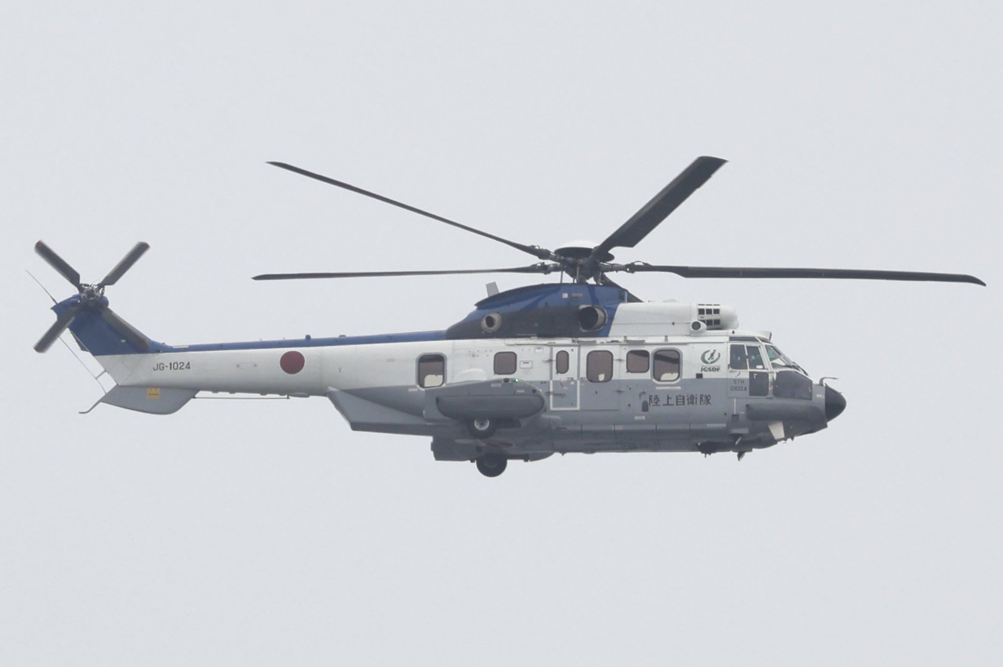 呼び捨て希望）ブタ on X: 