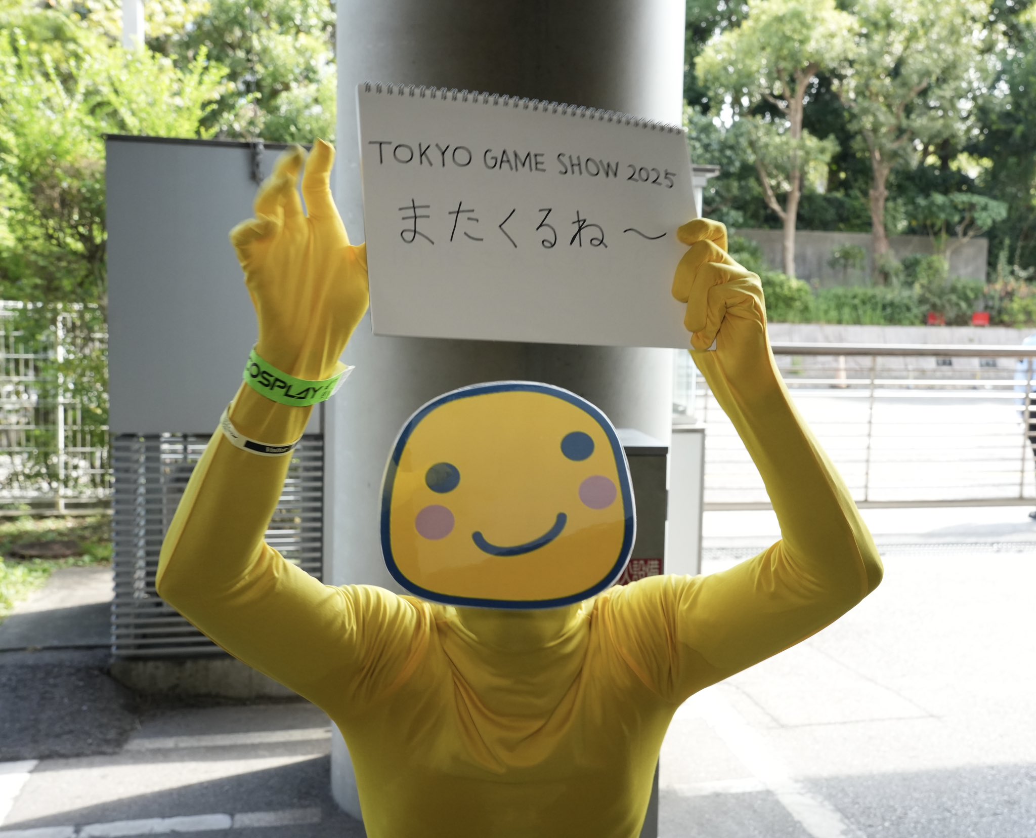 ハロウィン【専用になります】 Kotoha🍀ハコニワリリィ on X: 