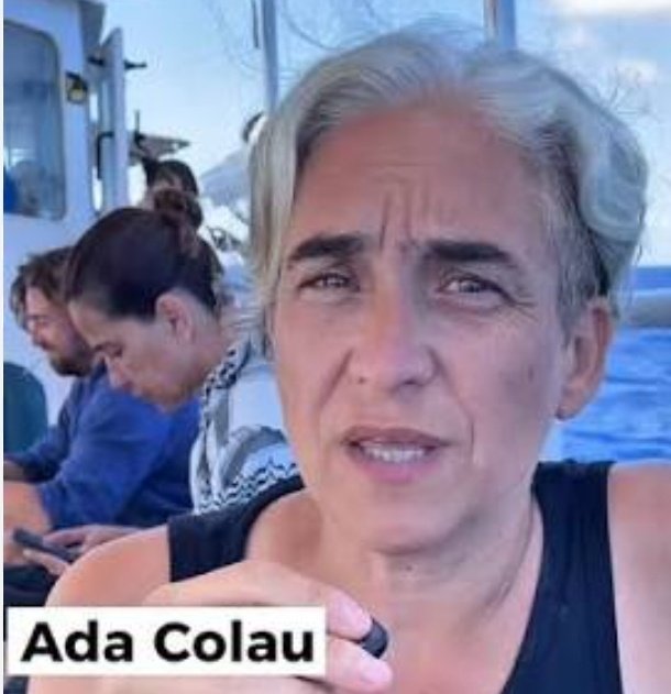 Vichy catalán                Bicho catalán