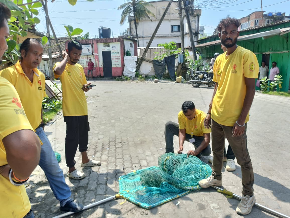 JustBFriendly's tweet photo. Mass Anti-Rabies Vaccination Drive | Tezpur
📅20–25 Sept 2025
A 6-day life-saving mission by JBF, Mission Rabies with support from the Sonitpur District Administration &amp; AH&amp;V Dept
510 community dogs vaccinated
Public awareness on rabies &amp; pet care
United for a #RabiesFreeTezpur https://t.co/GftxKU01a1