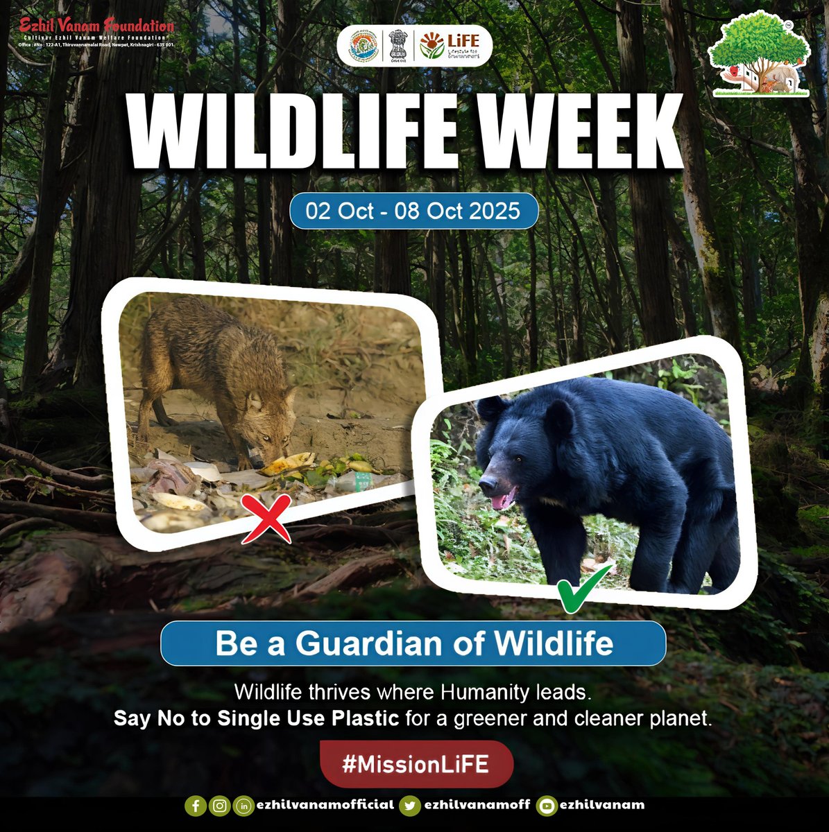 ezhilvanamoff's tweet photo. #WildlifeWeek2025 , #MissionLiFE , #HumanWildlifeCoexistence , #SaveWildlife, #ProPlanetPeople , #WildlifeWeek https://t.co/rJjwO7BYrR