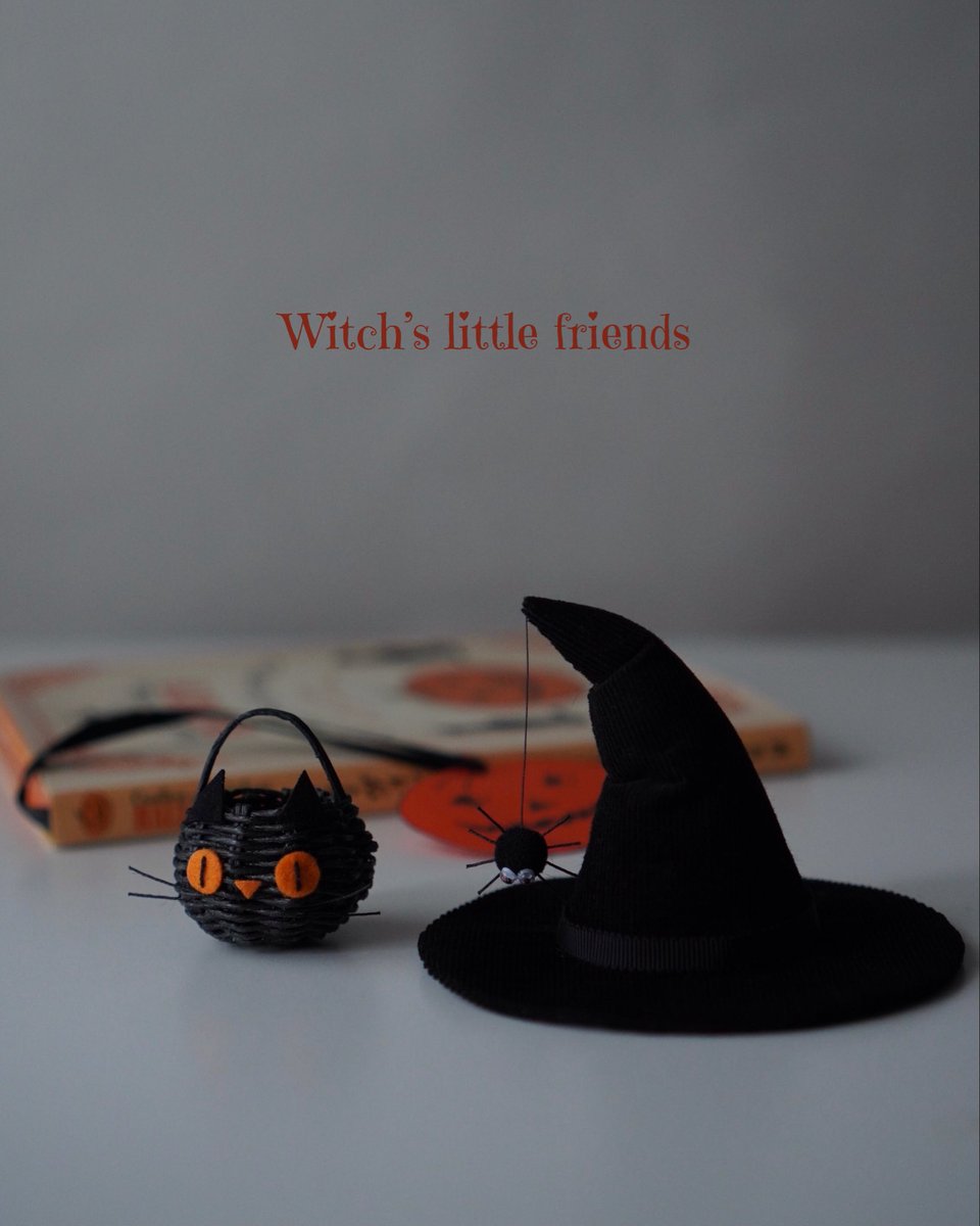 ⚮̈

やっぱりハロウインには黒猫ちゃん𓂃🕷️💕

白猫ちゃんのオークション、久しぶりの出品でしたが沢山の方にご参加いただき本当にありがとうございました☺️
無事に素敵な方のおうちにお引越ししました🏡✨
.