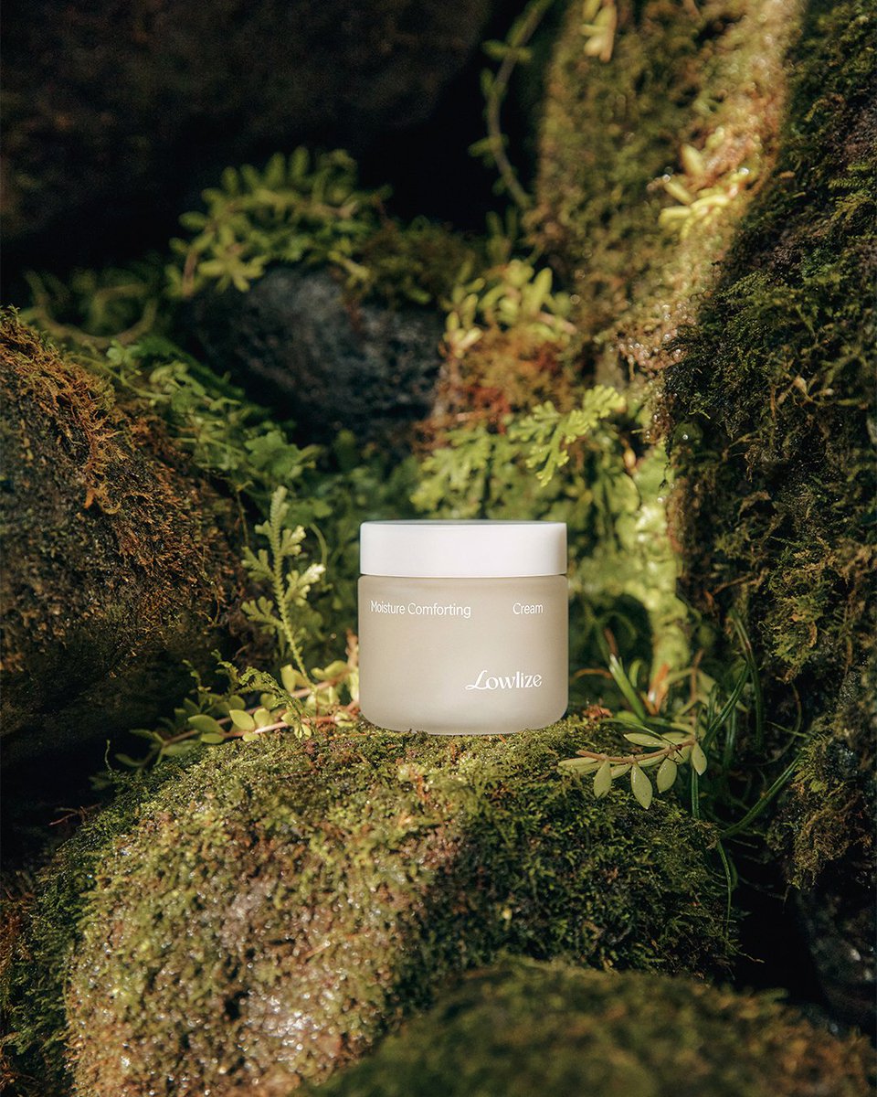 “モイスチャーコンフォーティングクリーム“

外の刺激で疲れた肌をやさしくケア。

#Lowlize #純肌バランス #軽いつけ心地 #ミニマリズム #クリーンビューティー 
#モイスチャーコンフォーティングクリーム