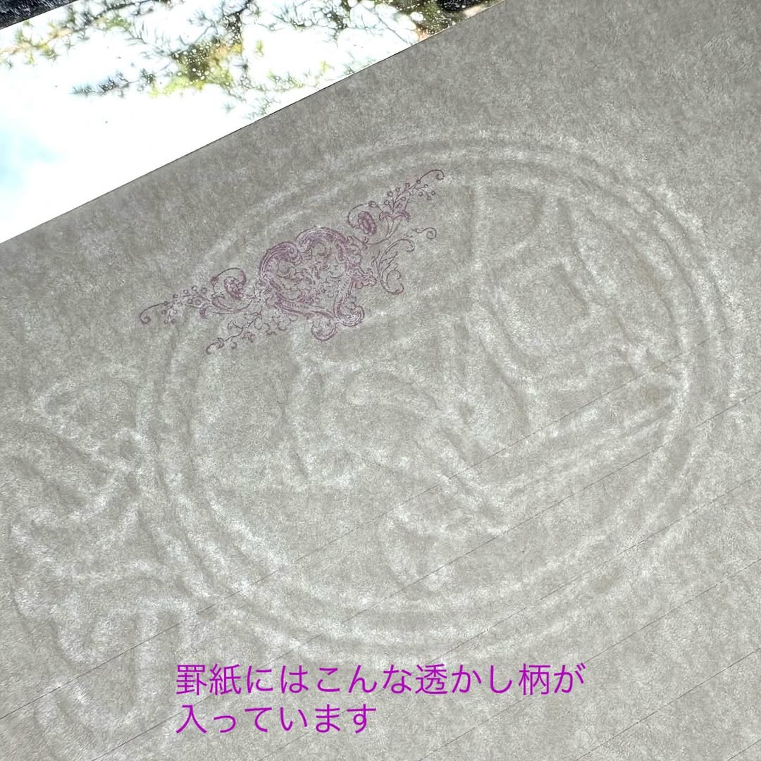 ❤️お値下げ中❤️【新品】コスモス　レターセット　マスキングテープ　活版印刷 ❤️お値下げ中❤️【新品】コスモス レターセット マスキング