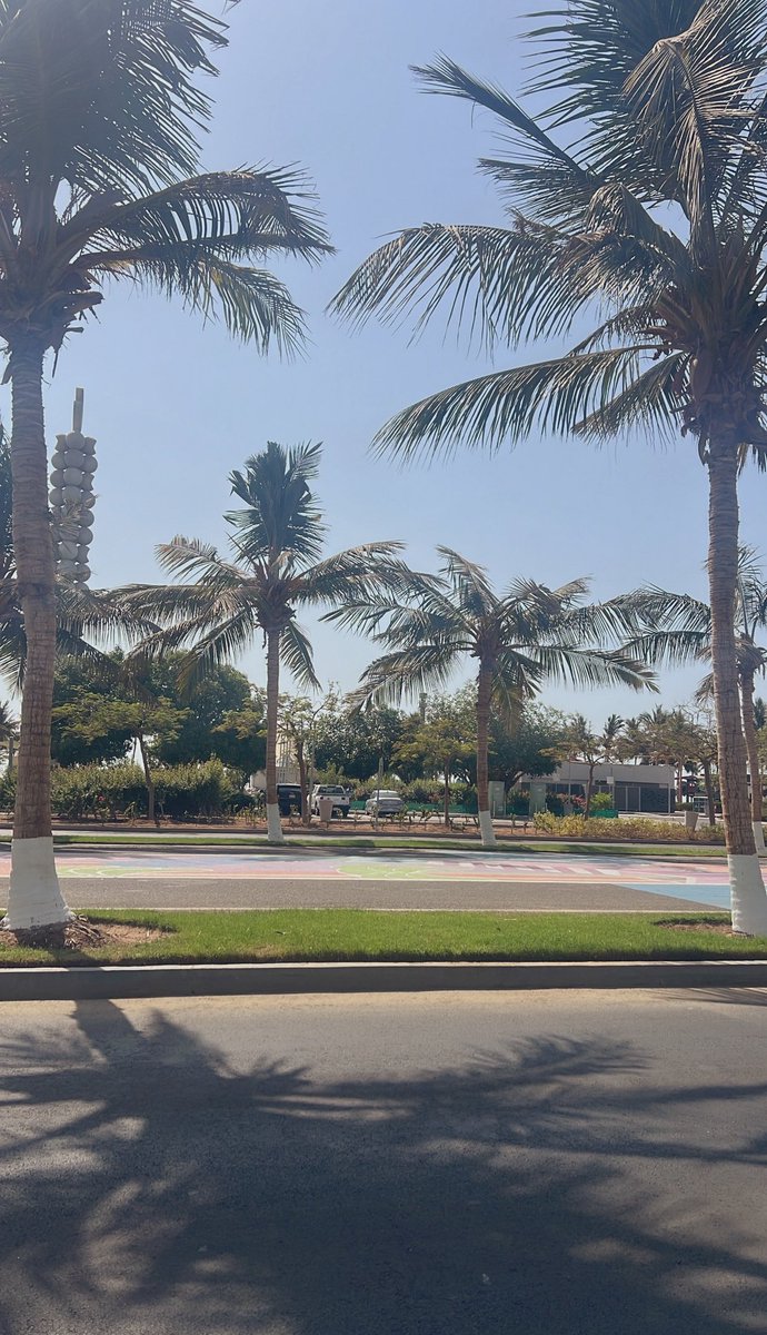 October 7 
صباح الخير 🌅 
ابدأ يومك بروحٍ تسعى، لا بعذرٍ يشكى 

ومن يتهيبْ صعودَ الجبالِ يَعِشْ أبدَ الدهرِ بينَ الحُفَرِ