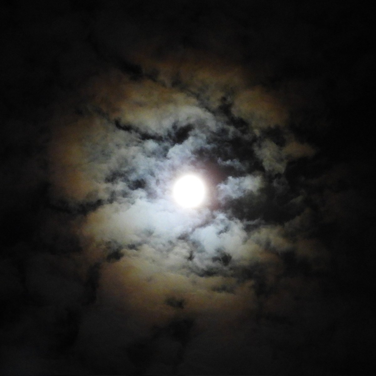 FunkyAppleTree's tweet image. The SUPERMOON was just that! #HuntersMoon aka #HarvestFullMoon @StormHour @ThePhotoHour @metoffice #supermoon #FullMoon