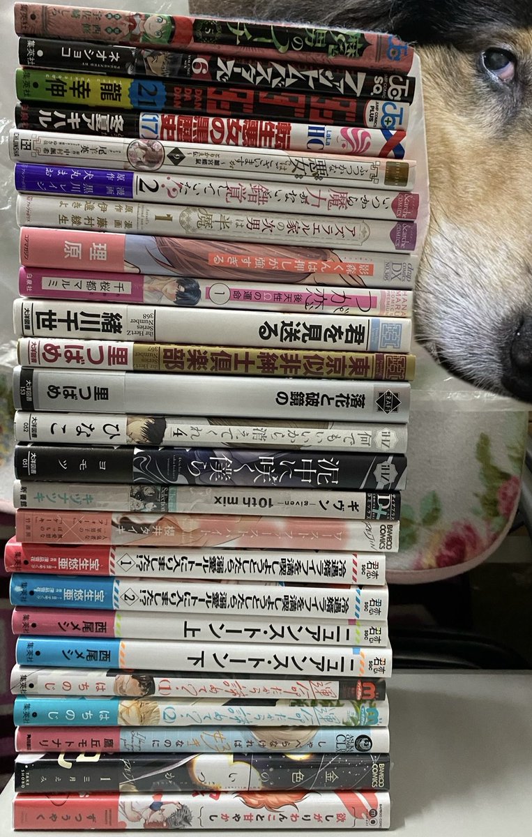 tPiFVDXMTf03qn4's tweet image. ああああ……

「わーい10月だぁーーー‼️」って私の中の漫画欲がLet&apos;s ダンシング始めちゃったから、マジ引きするほど買っちまった……

#書店員本日のお買い上げ 
#今日買った漫画