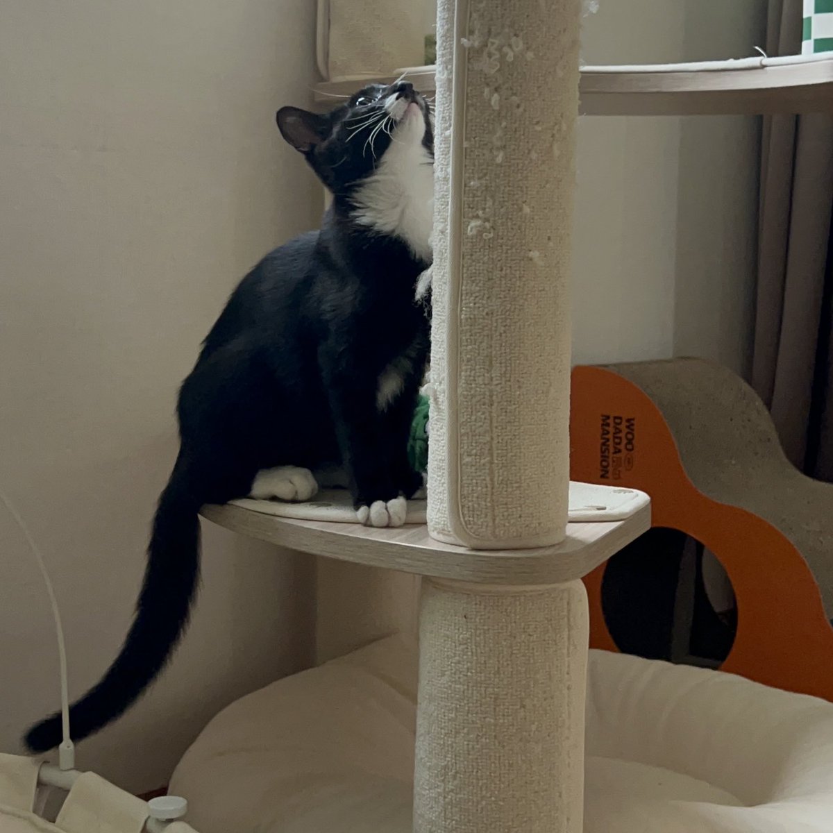 김유정🏳️\u200d🌈 (@Psyam_) / X, image size:1200x1200