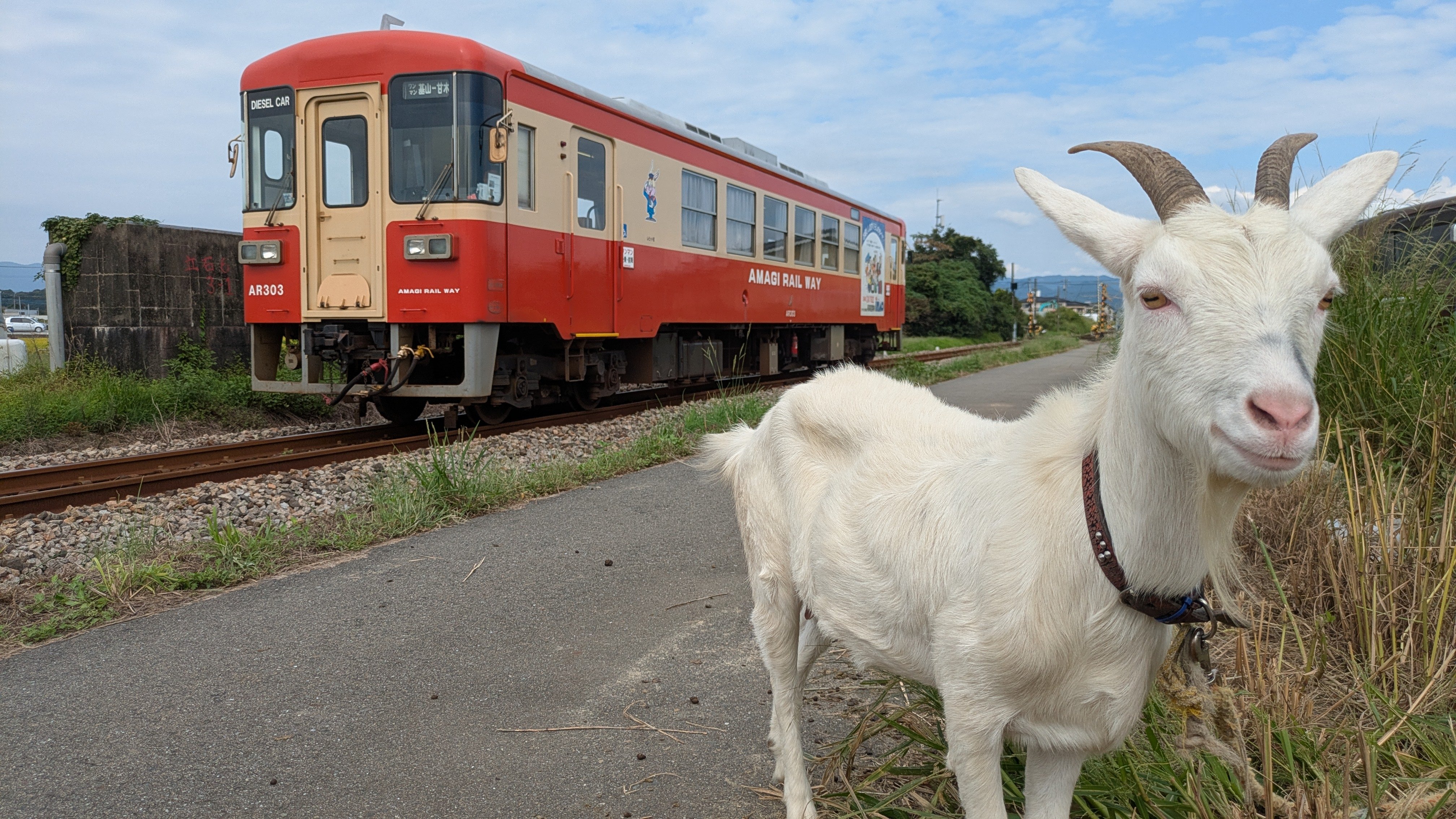 ソニ様♡ありがとうございます♡ Ai❤️‍🔥AiWALL on X: 