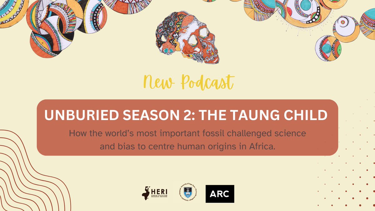The #TaungChild has been silent for over 2 million years — until now. 

Our new podcast takes you back to 1924 #SouthAfrica, where one fossil would upend colonial narratives to centre human origins #Africa.

🌍Unburied Season 2: The Taung Child
🔗 Listen: linktr.ee/arcdocs