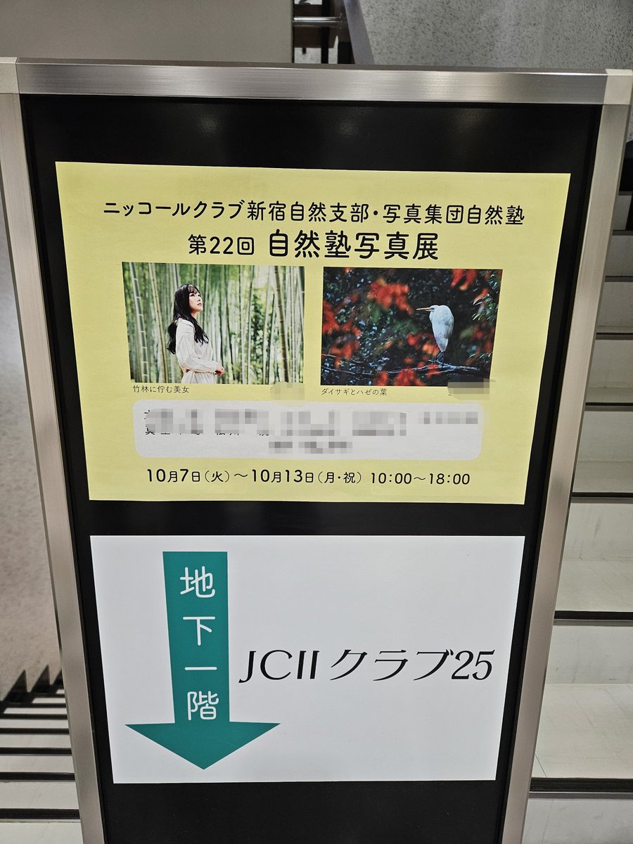 PAPUA46494649's tweet image. 写真展始まりました。☺️
10/10(金)、10/12(日)は在廊します。
見に来て頂けると嬉しいです。✨️
詳細　　↓↓↓↓↓↓↓↓↓↓↓