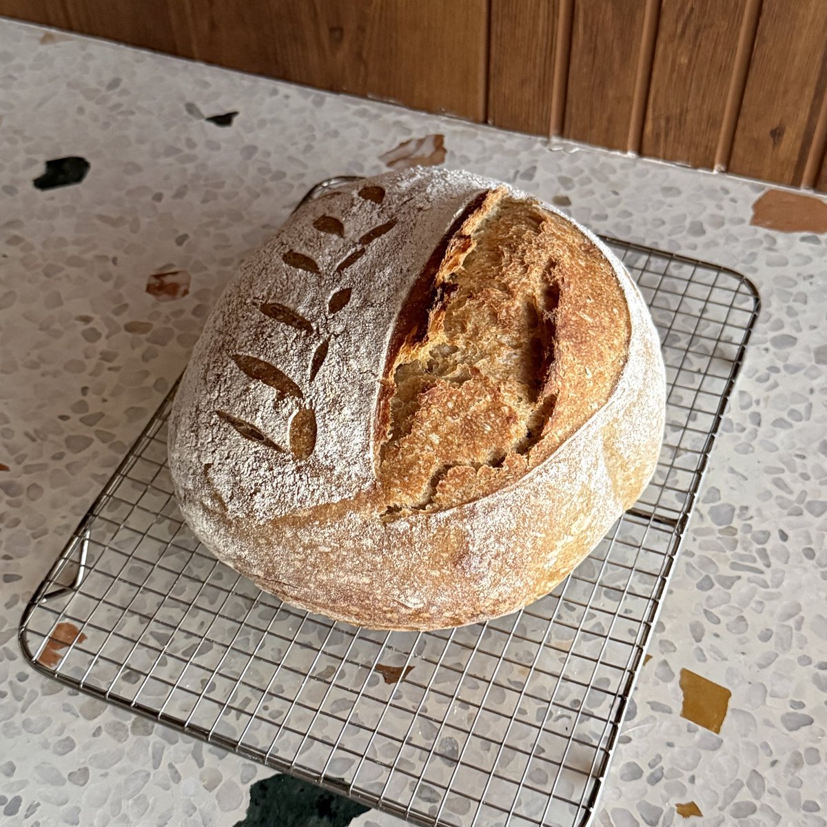 carkultera's tweet image. literally just  baked my sourdough last night