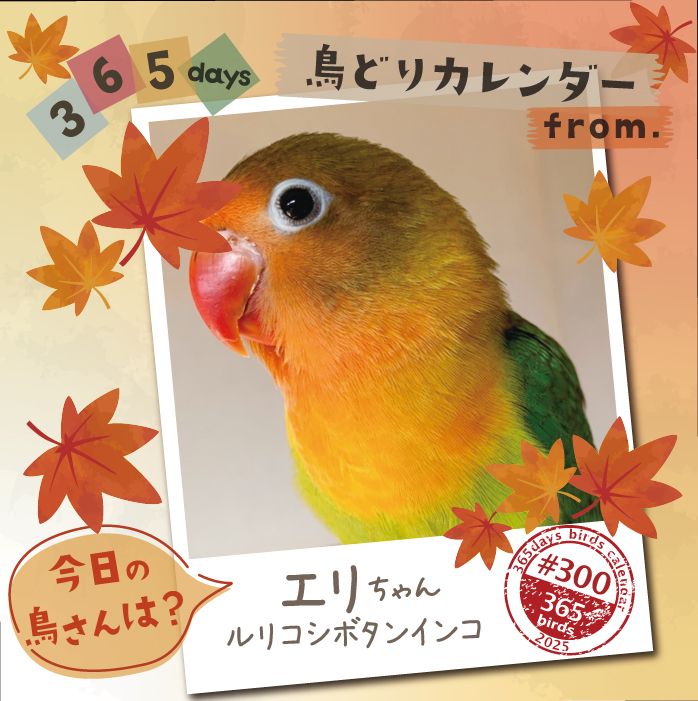 ひなどりページ CAP on X