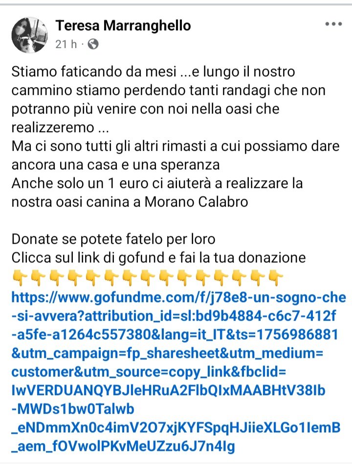 zampa_qua's tweet image. STRAURGENTE 🆘️🆘️🆘️🆘️🆘️☎️3290269673
facebook.com/share/p/19izW5… Tanti randagi si possono aiutare 🙏
gofundme.com/f/j78e8-un-sog…  AIUTIAMO TERESA LA VOLONTARIA E I NOSTRI PELOSI E RANDAGI SALVISMOLI DALLA MANO DELL' ESSERE UMANO 🐕🐈 #4voiceless #randagi