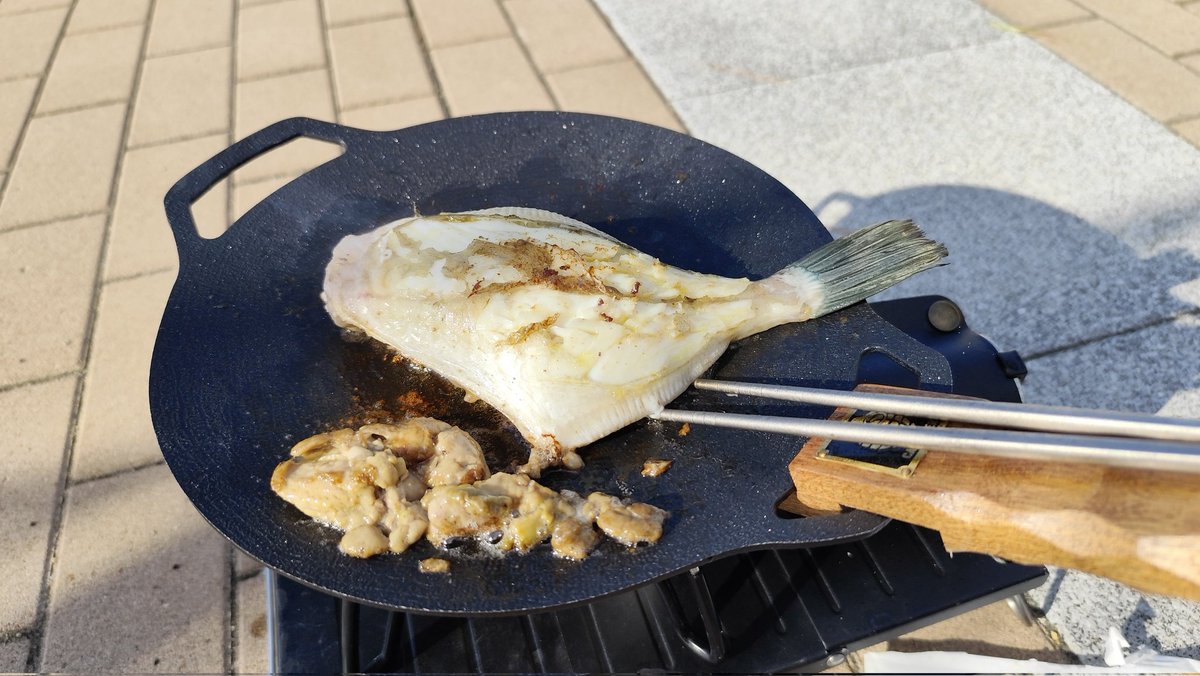 釣りを始めて3ヶ月、初の良型✨️ウマズラハギを釣り上げました✨️ウマ過ぎます✨️