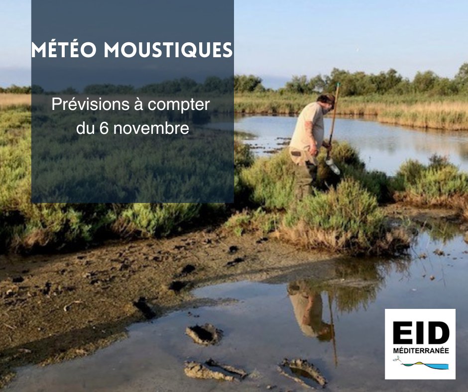 🦟Météo #moustiques ruraux
Prévisions à compter du 6 octobre en <a href="/Occitanie/">Région Occitanie</a>
 par département : eid-med.org/bul-operationn…
Nuisances localisées des Aedes des zones humides ressenties cette fin de semaine.
📍 <a href="/departement13/">Département des Bouches-du-Rhône</a>
📍 <a href="/Gard/">Conseil départemental du Gard</a>
📍 <a href="/Heraultinfos/">Département de l'Hérault</a>
📍 #Aude
📍 <a href="/leDepartement66/">Département des Pyrénées-Orientales</a>