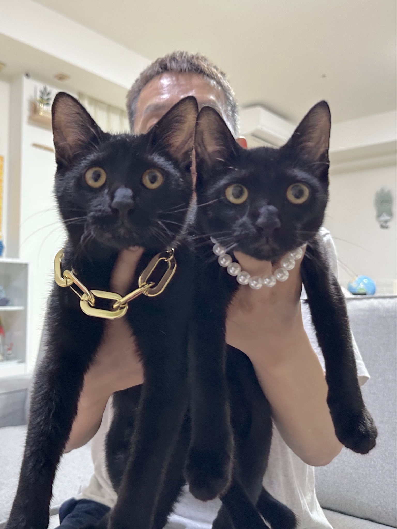 黒猫さま 専用 7点 おまとめ 黒猫さま 専用 7点 おまとめ 🐈‍⬛ 頭を支える良い場所