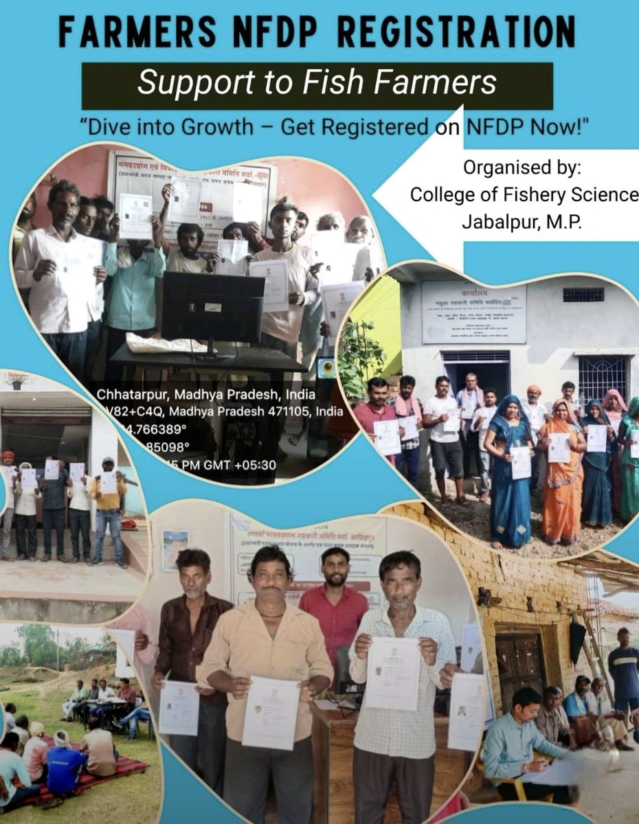FisheriesGoI's tweet photo. Fisheries students from the College of Fishery Science, Jabalpur, are empowering fish farmers by helping them register on the NFDP under #PMMKSSY.

Through the #EachOneReachOne campaign, they’re ensuring every fisher gets a digital identity and access to new opportunities in the sector.
#NFDP #Fisheries #BlueEconomy #PMMSY