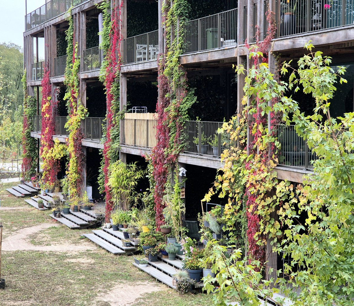 NandaSluijsmans's tweet image. Gebouwen die meekleuren met de #herfst. 🍂🥰

#Ede #MIX architectuur