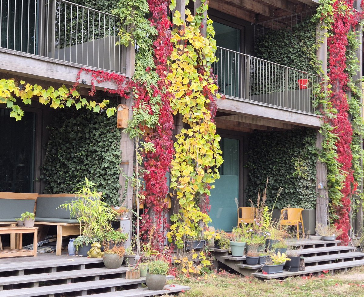NandaSluijsmans's tweet image. Gebouwen die meekleuren met de #herfst. 🍂🥰

#Ede #MIX architectuur