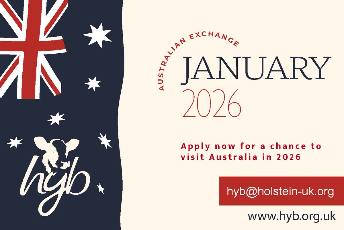 Holstein Young Breeders tweet media