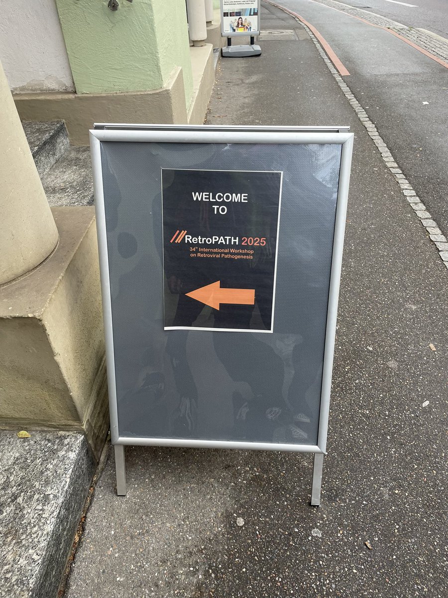ViroSchindler's tweet photo. We’re excited to welcome retrovirologists to the 34th Retropath Conference taking place in Tübingen! We’re looking forward to exciting talks and discussions. #RetroPath #retroviruses https://t.co/GIxTcvoWWa