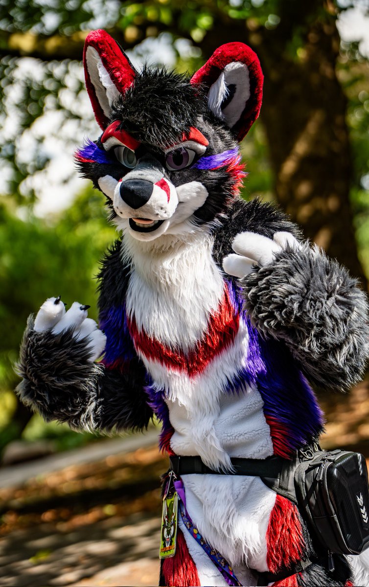 He thinks he has SWAG, but can't even brush his suit properly, what an idiot.

#FursuitEveryday 
📸: <a href="/Frooxius/">Frooxius 🔜BLFC - frooxius.bsky.social</a>