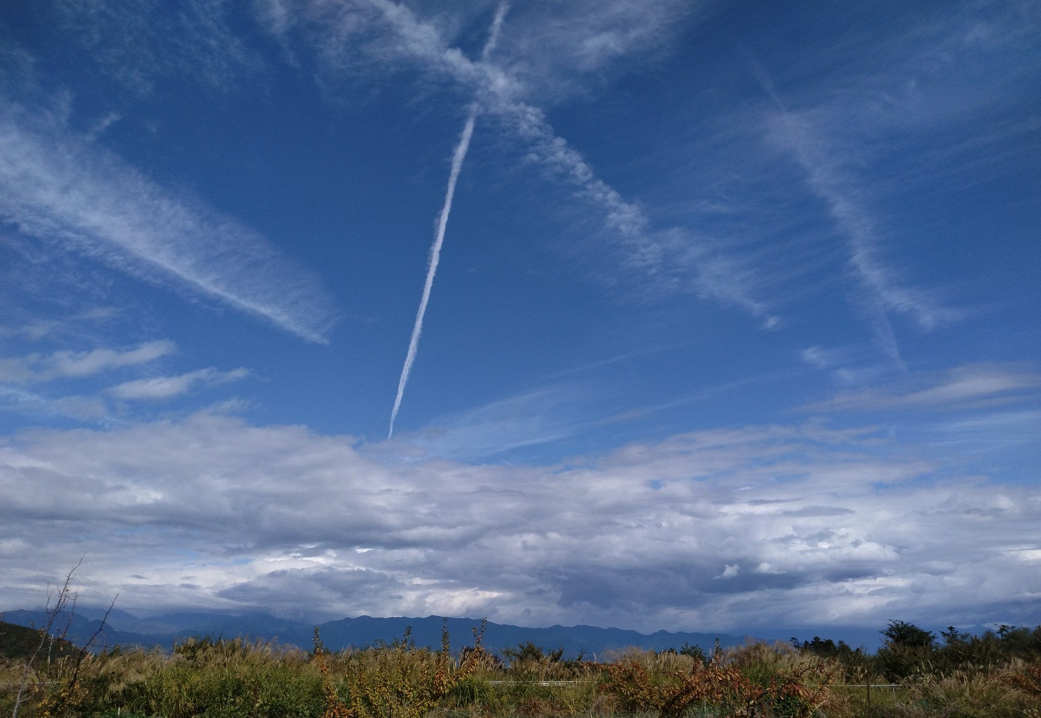 ハル-チ−ク−。 on X: 