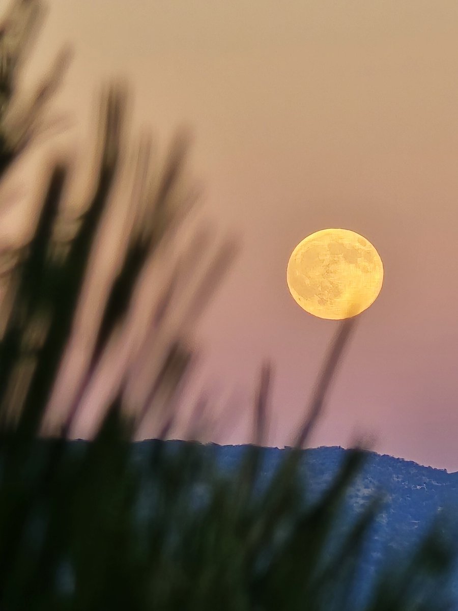 kingcorona13's tweet photo. #Moon #MoonRising #6Oct2025 #OctoberMoon https://t.co/bxFOrTAX7j