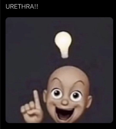 Peepeepoopoo 🌈 tweet media