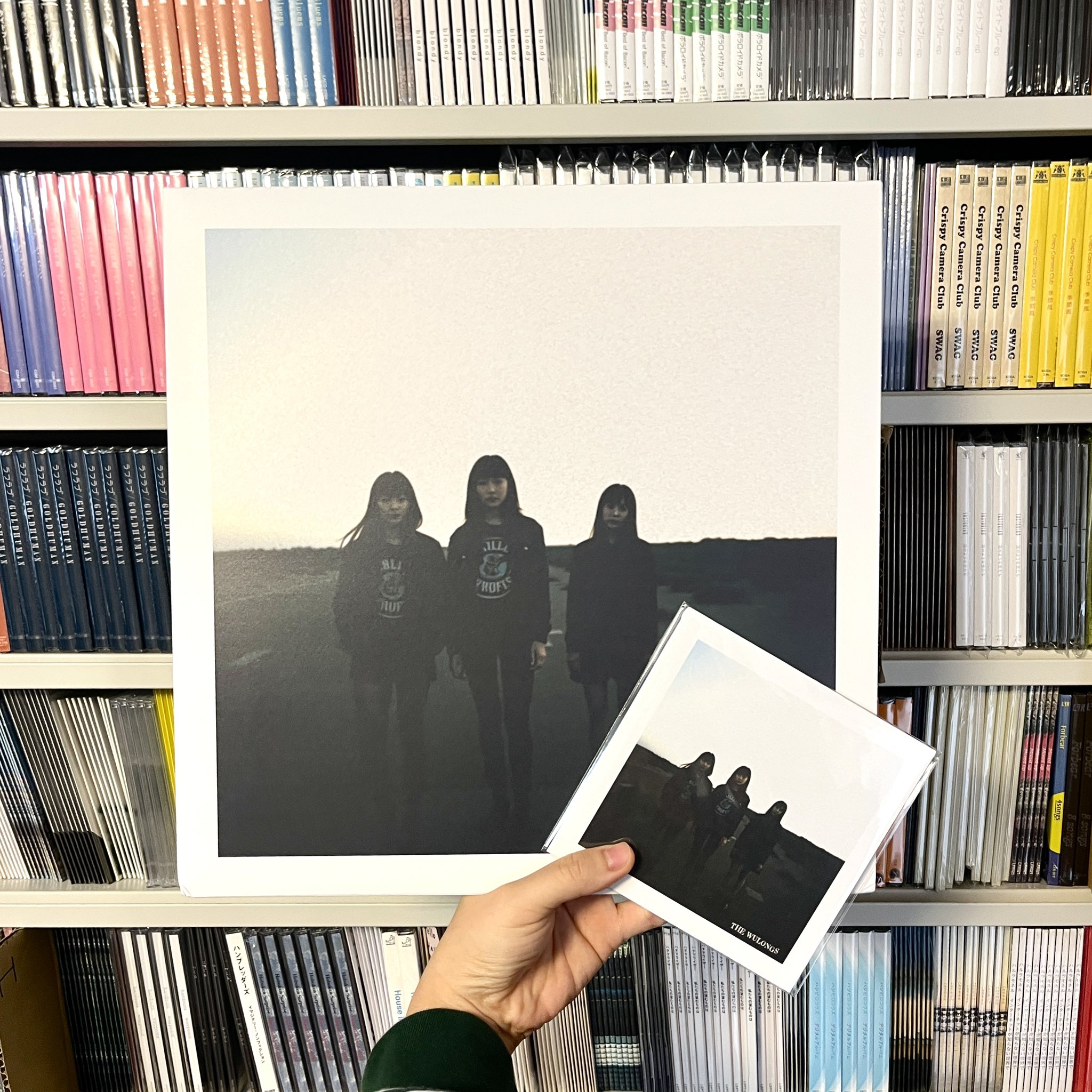 the Wulongs / Videodrome (Black Vinyl)