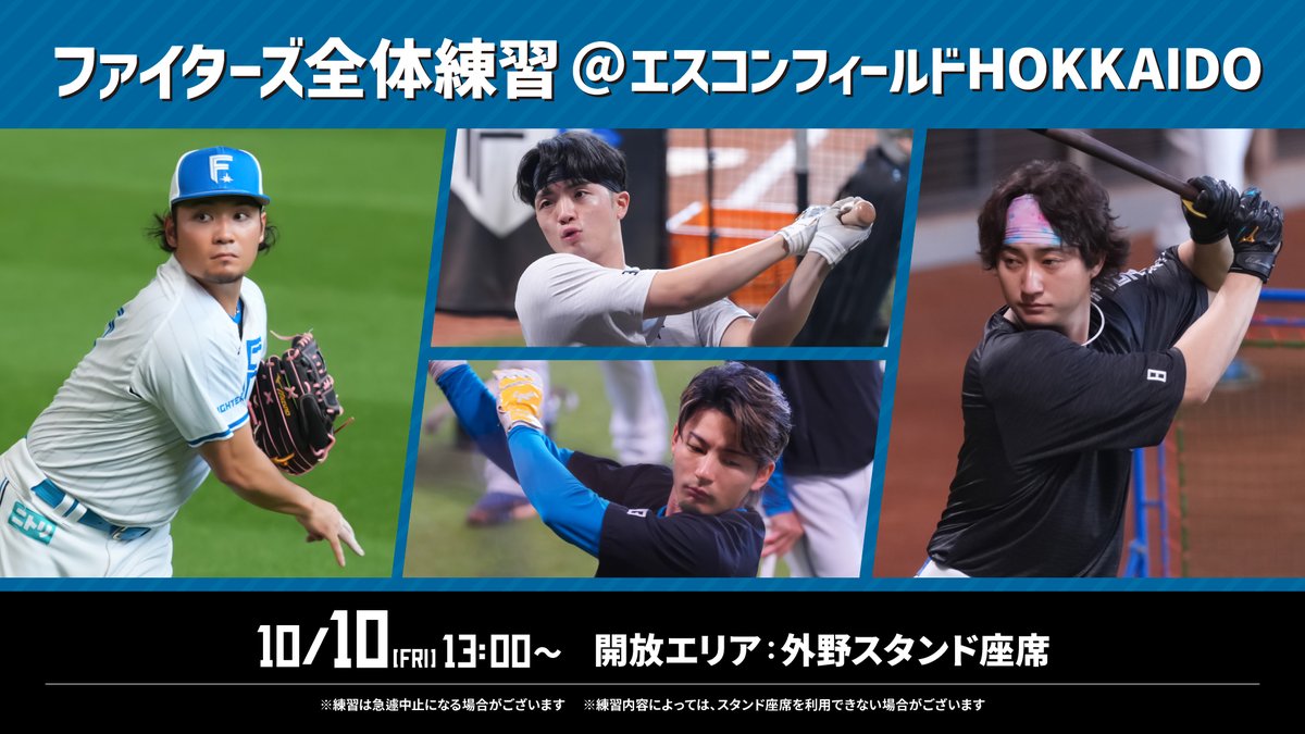 SHINJO 1 FIGHTERS 北海道日本ハムファイターズ SHINJO 1 FIGHTERS 北海道日本ハムファイターズ