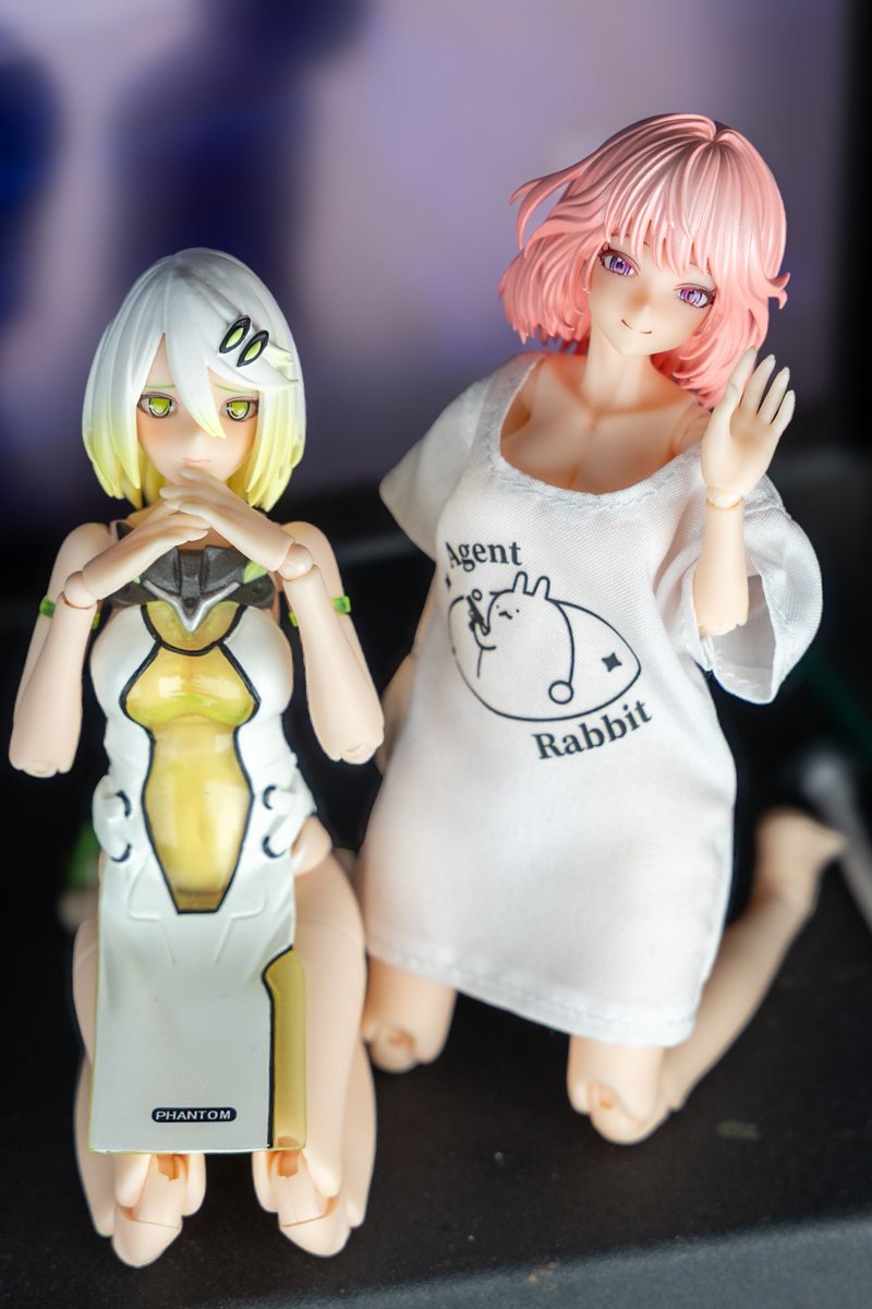Kokko_Pleiades's tweet image. アイリンさん美人すぎでは
蛍さんと一緒に仕事見守ってもらおうかな 
#蝸之殻 #スネイルシェル #snailshell