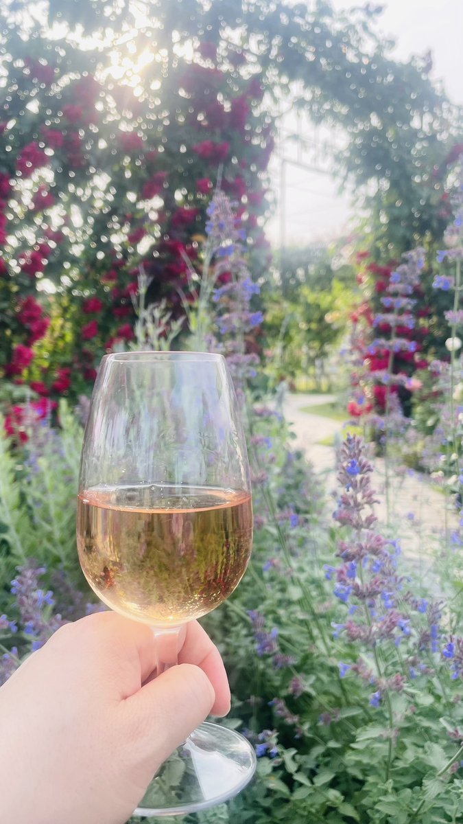 ototocoro's tweet photo. 昨日はワインエキスパート二次試験でした🍷
この8ヶ月こんなに楽しい勉強は初めてだたな。
赤2種目のカルメネール���勇気が持てなかったのは勉強不足。
やれるだけやったので後は結果を待つのみ！
まだまだもっともっとワインの勉強したい気持ちでいっぱい。

#ワインエキスパート https://t.co/jHXHy9ERz3