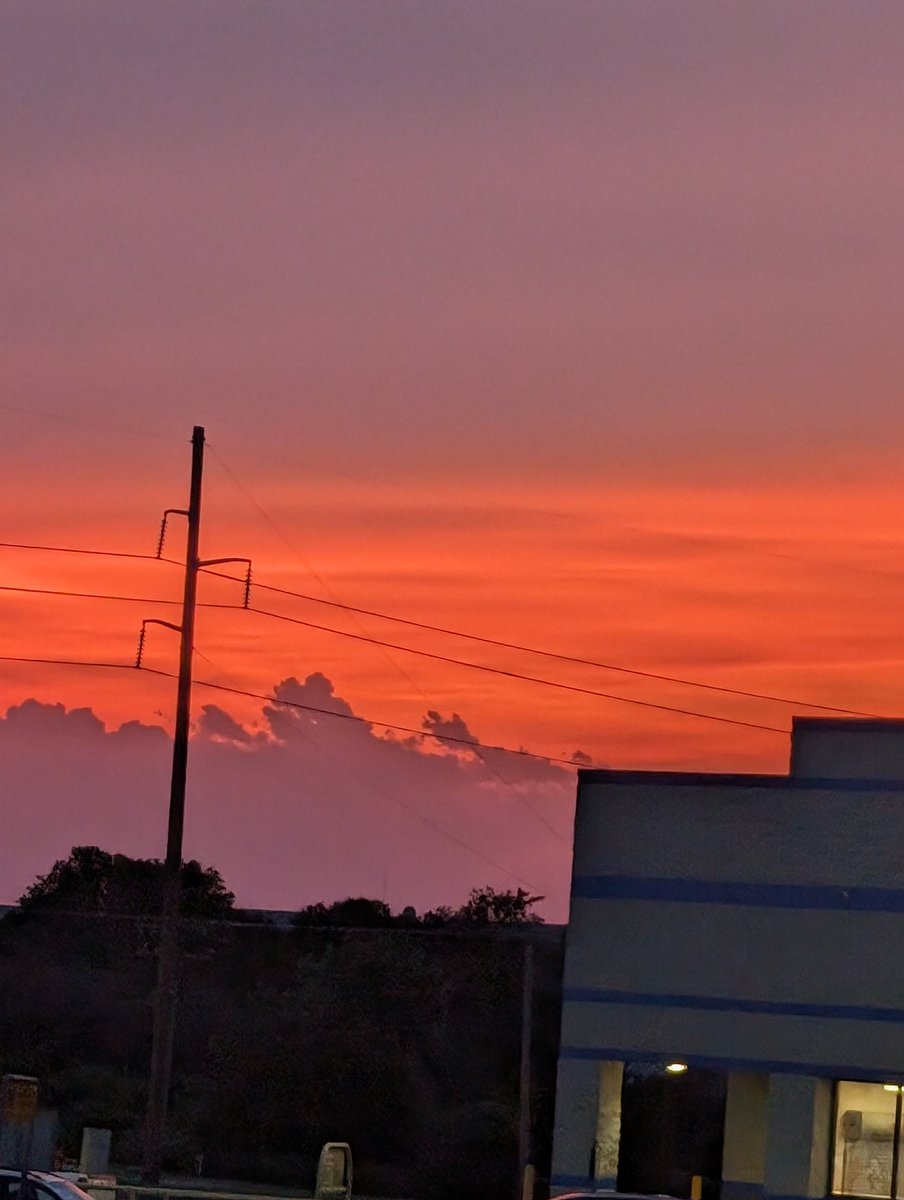 Laurie 🇺🇲 tweet media