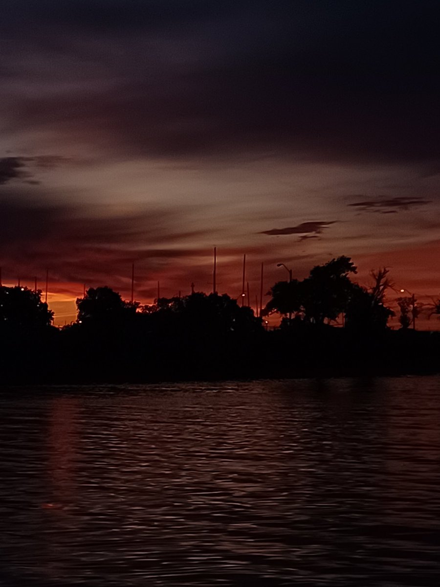 Laurie 🇺🇲 tweet media