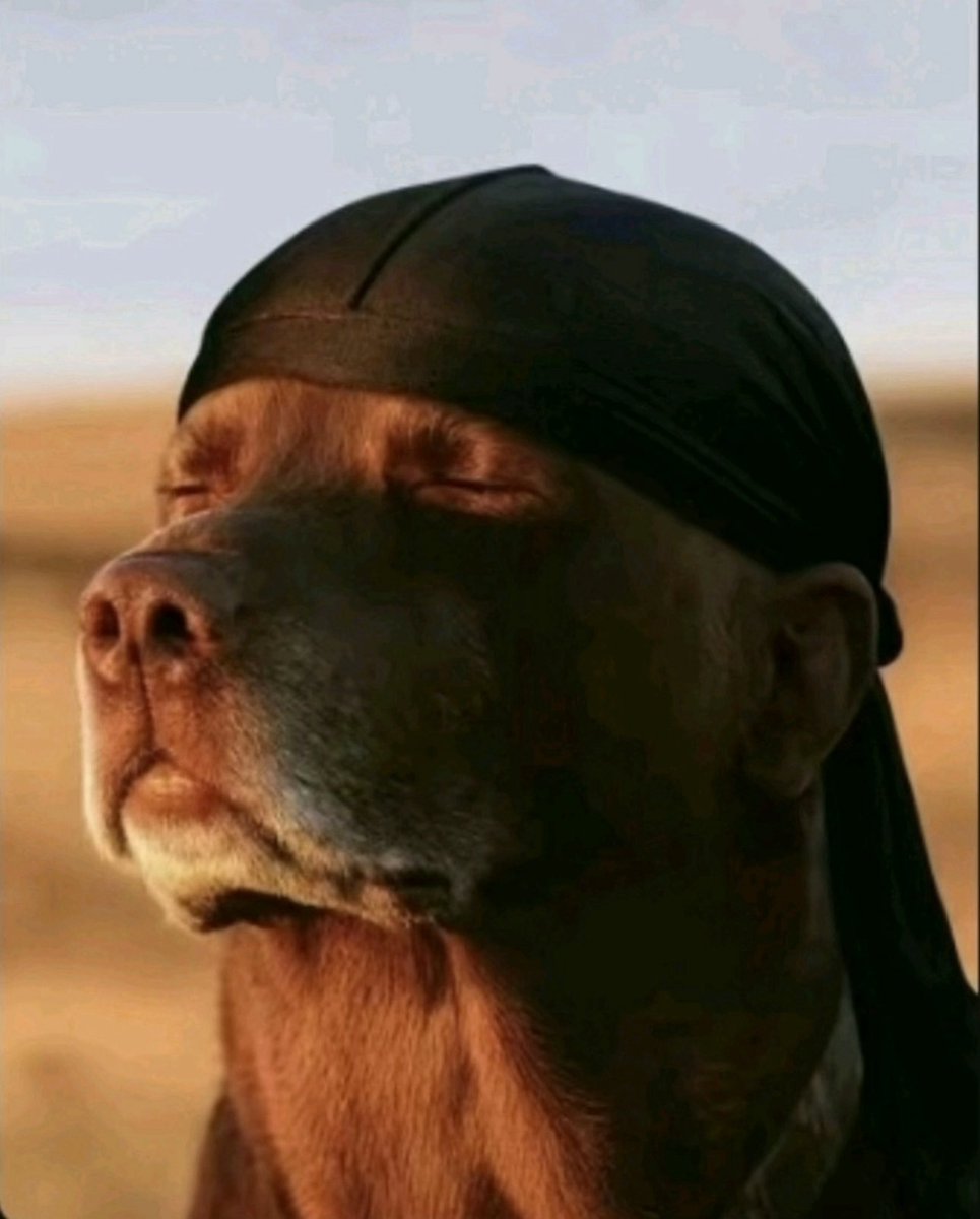 Every man with broke wife rn
