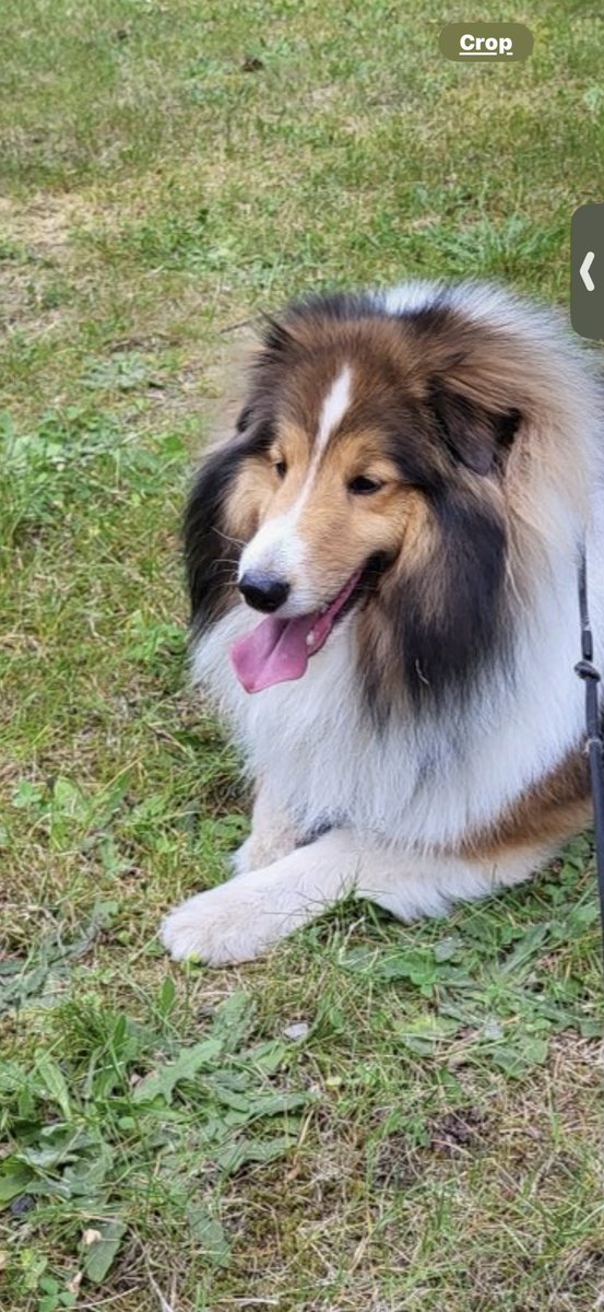 Danielle R. tweet media