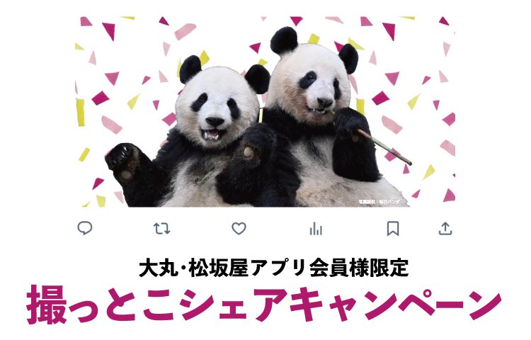 しろくろパンダチャンネル、時々グレー (@PandachYoutube) / Posts / X