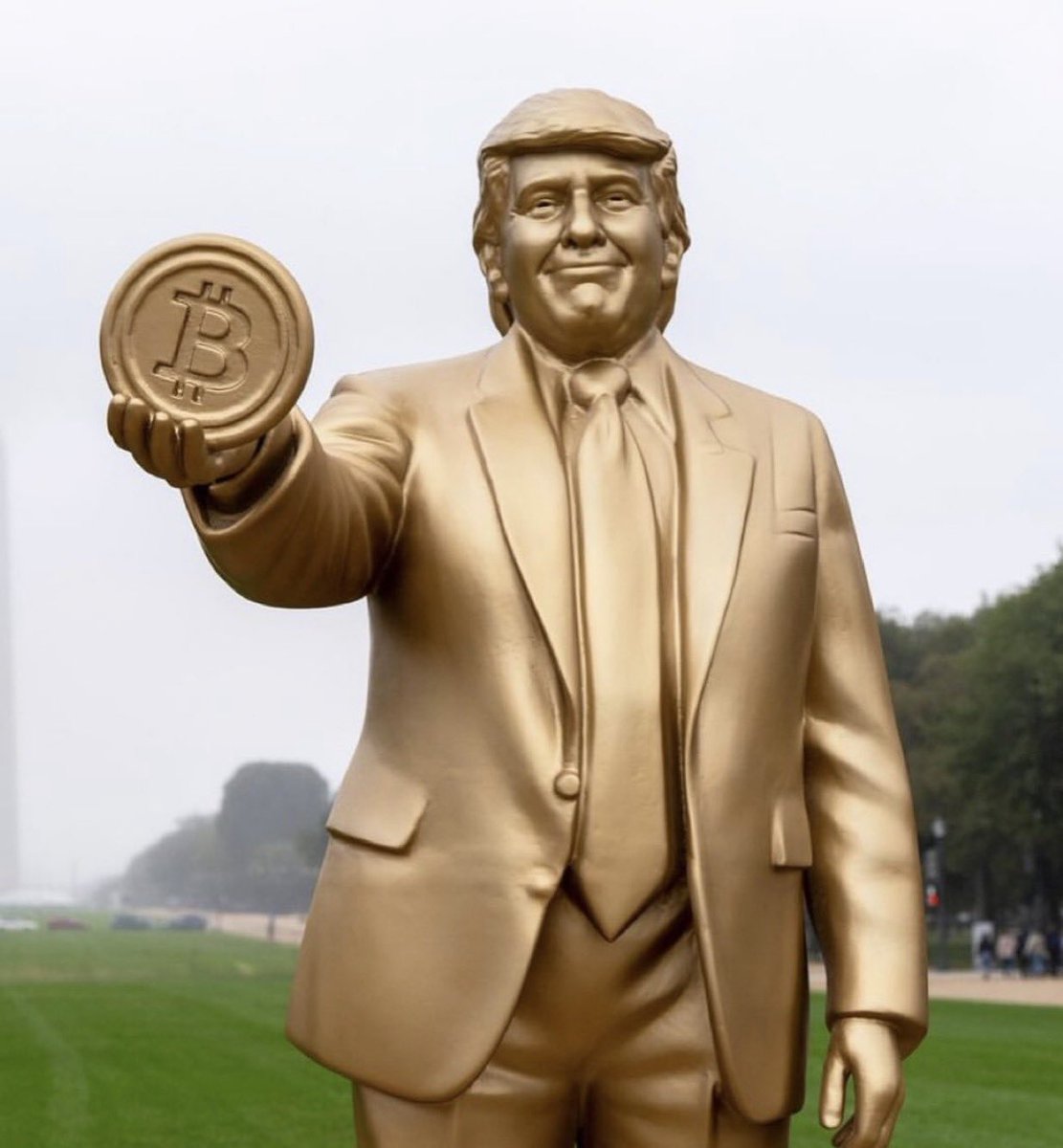 zoop 📡⭐️ tweet media