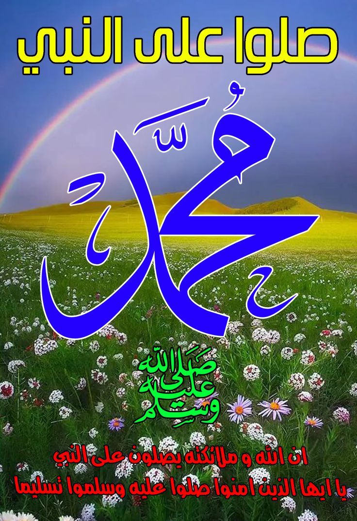 🌺 يحلو ويطيب صباح يوم الثلاثاء 🌺 بالصلاة والسلام على سيدنا وحبيبنا وشفيعنا محمد وعلى اله وصحبه وسلم تسليما كثيرا 
📿اللهم ارزقنا شفاعته ومرافقته في الجنه📿