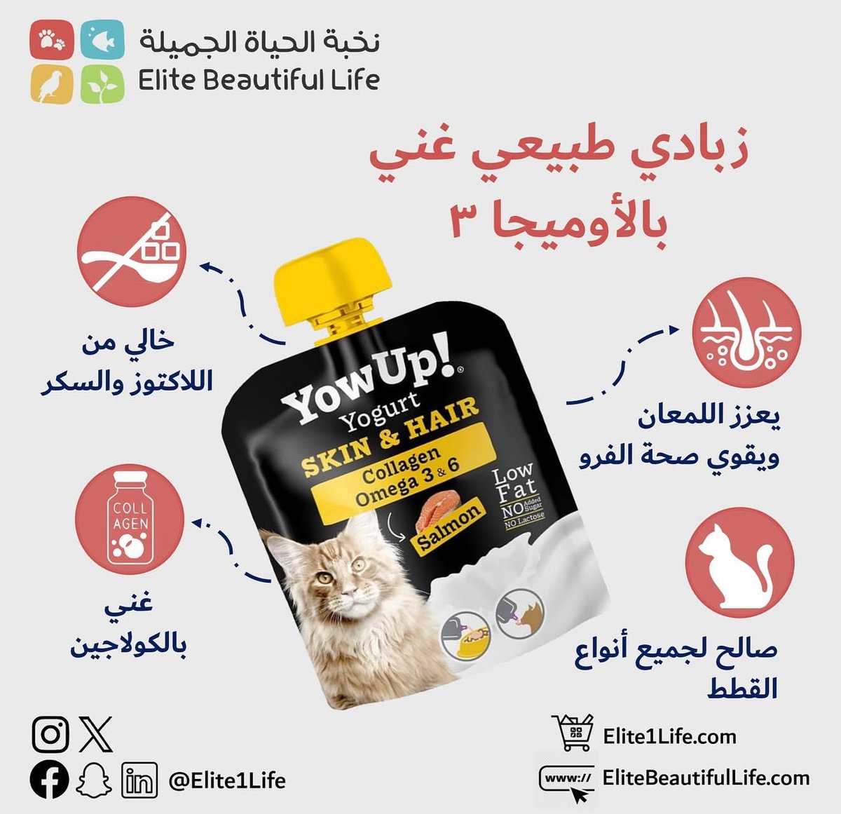 Elite1Life's tweet photo. #نخبة_الحياة_الجميلة
.
#حيوانات_اليفه #قطط #قطة #قطة_كيوت #قطة_جميلة #اسماك #احواض_اسماك #اطعمة_قطط #متجر #متجر_الكتروني #متجر_إلكتروني #متجر_قطط 
.
.
.
#Elite1Life
#EliteBeautifulLife
#Elite_Beautiful_life
#pet #petstore #petshop #petlovers #petlover #pets #petlife #onlineshop https://t.co/WtKNutshxu