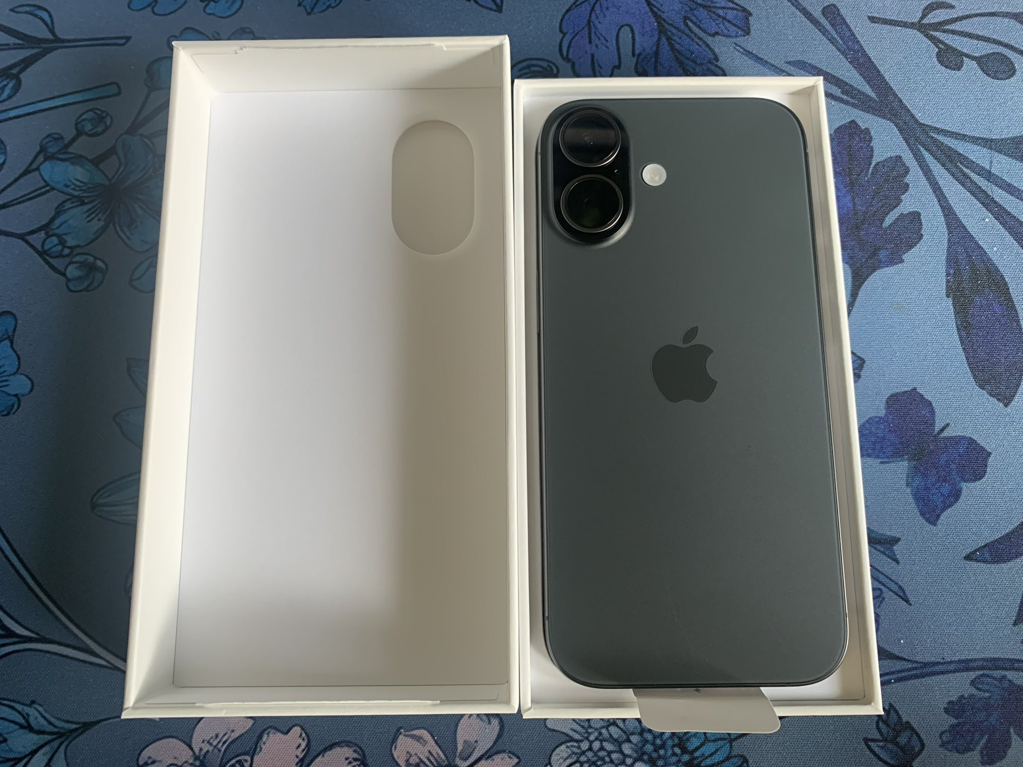 iphone17 - Search / X
