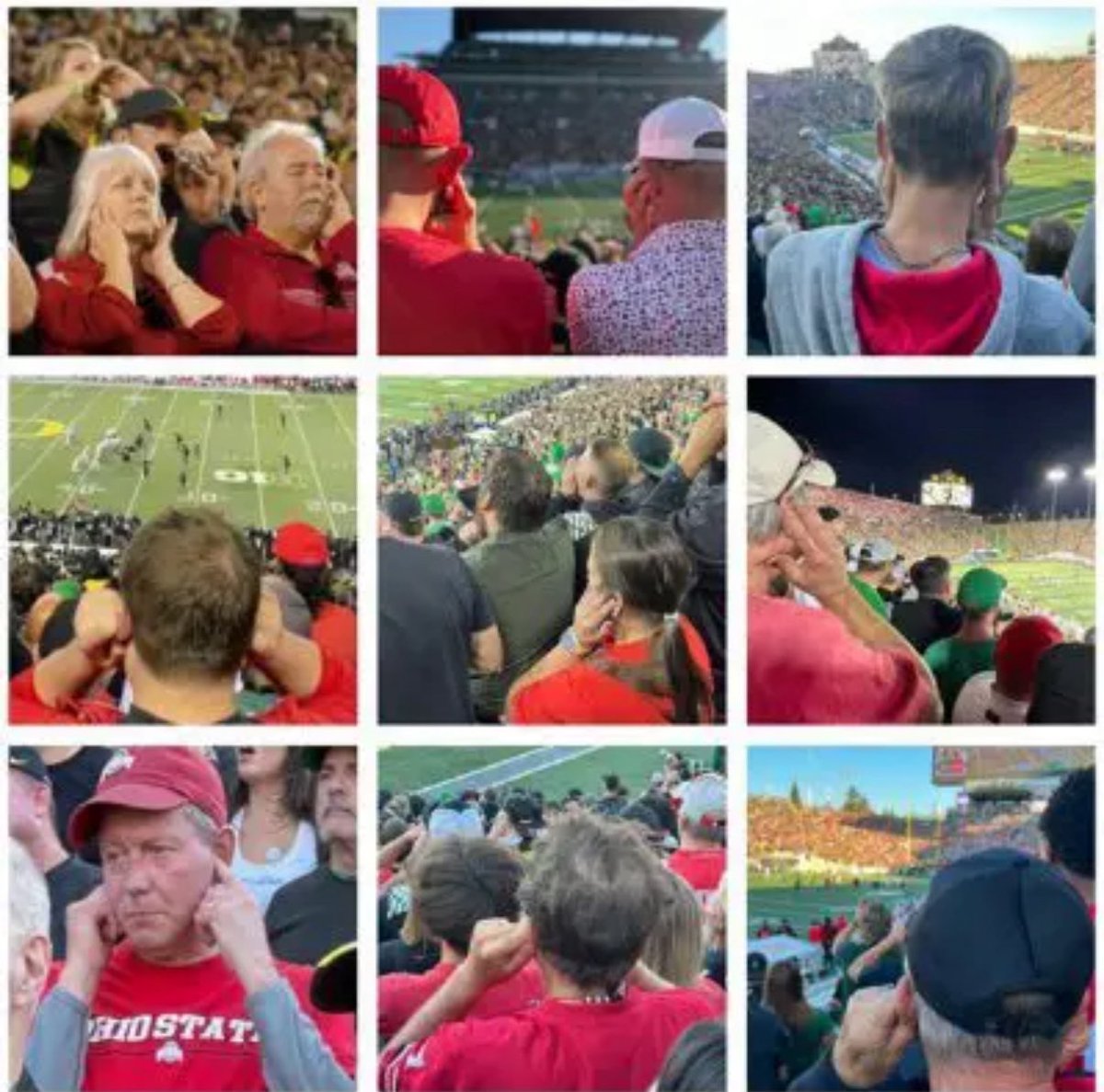 Brandon Schornstein tweet media