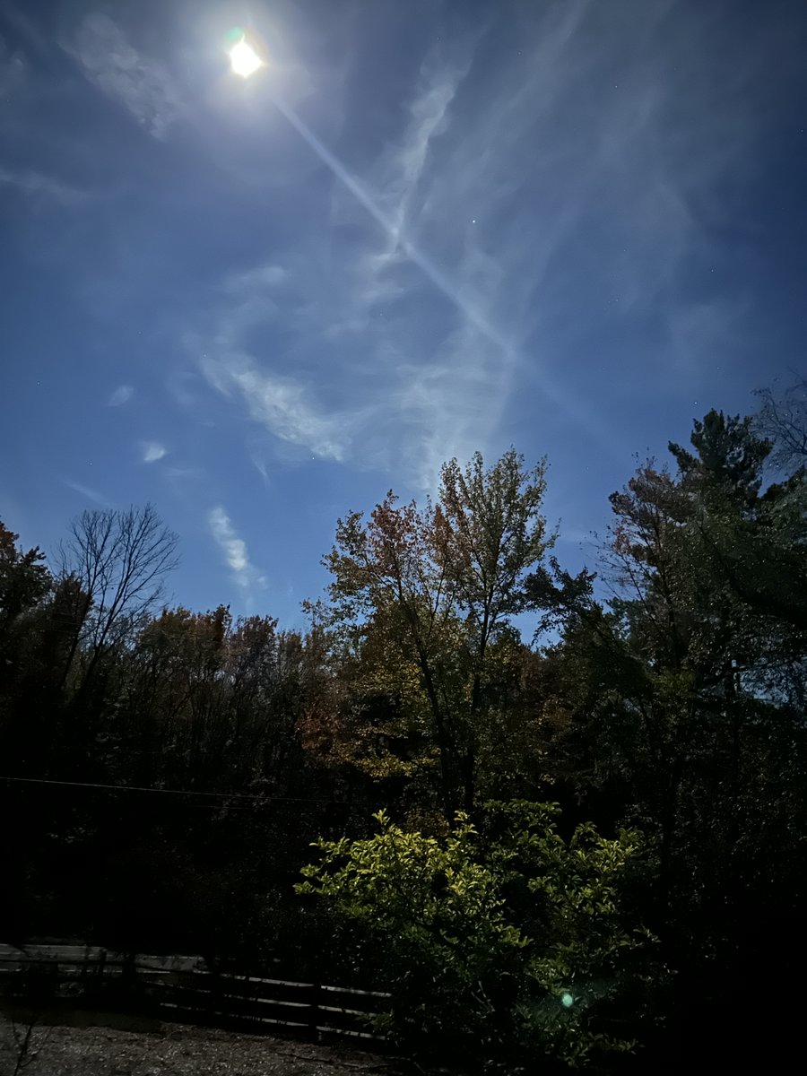 Moon out here brazenly flouting the “no blue light after sunset” rule. Nature itself is attacking my circadian rhythm smh.