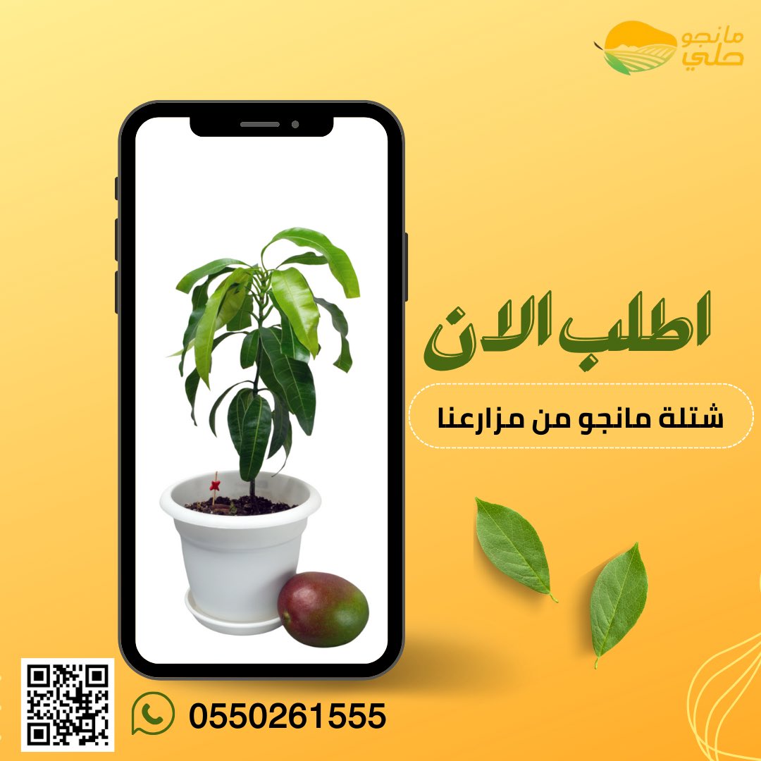 Mangohali2's tweet photo. اطلب الان #شتلات #المانجو من مزارعنا في #مانجو_حلي 
خصم الحجز المسبق 20٪
للطلب من المتجر او الاتصال 
👇🏽
https://t.co/E9WxZZKi3u 

#صباح_الخير https://t.co/vRTfhBgCYT